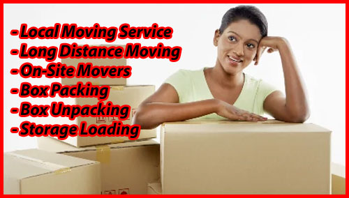 Packers And Movers Noida Sector 106